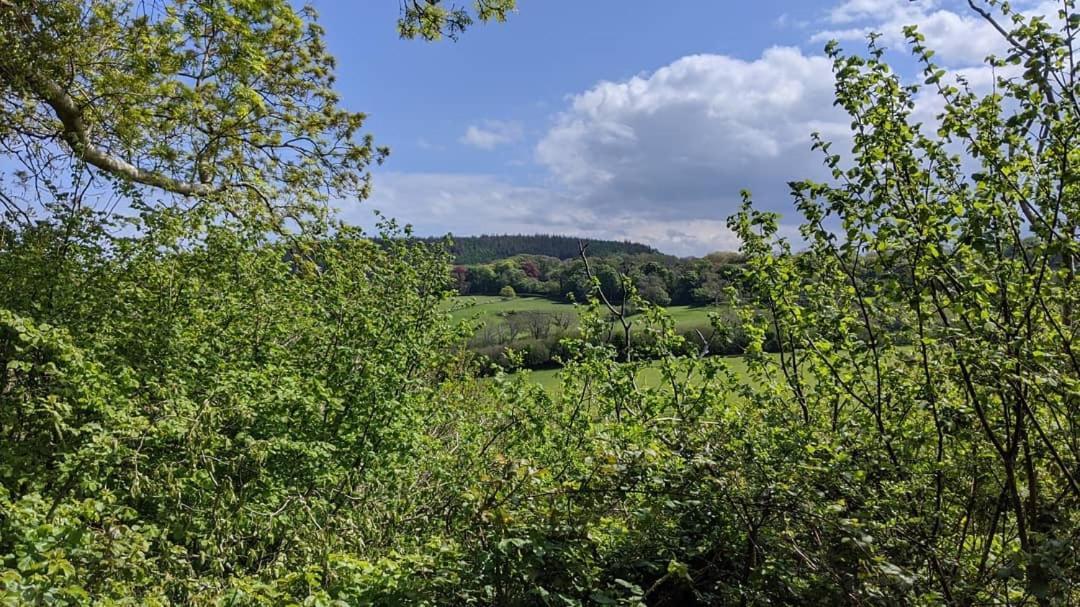 Вилла No7 Glan Nodwydd Pentraeth Экстерьер фото