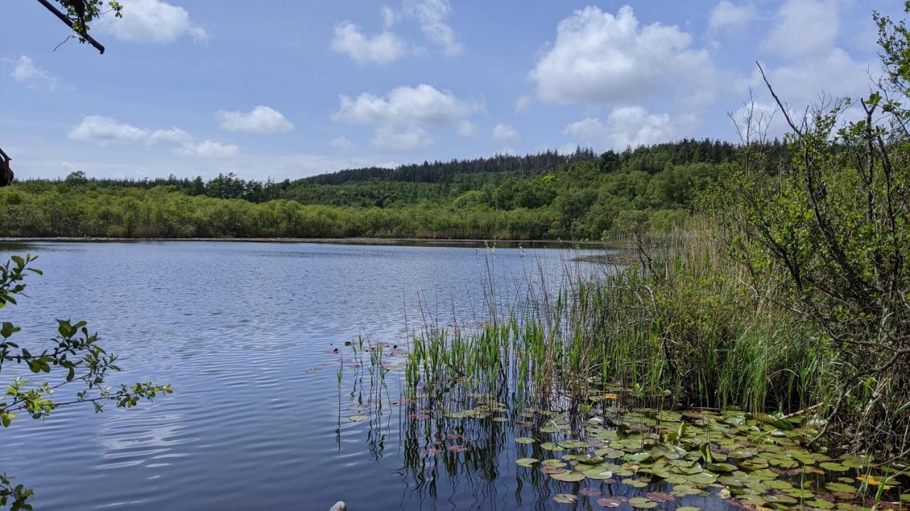 Вилла No7 Glan Nodwydd Pentraeth Экстерьер фото